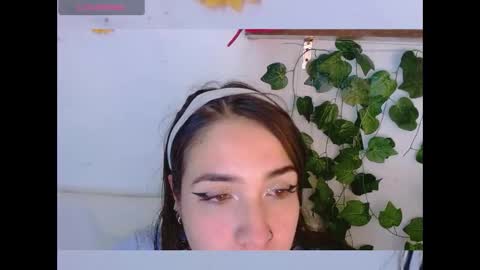 Snapshot of dicmonlu11 chatting on December 2025 03:33:02 AM Dicmonlu online show from December 2025 03:33:02 AM