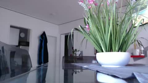 Snapshot of didiegal chatting on December 2024 02:02:01 PM squirtcock online show from December 2024 02:02:01 PM