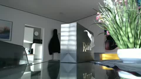 Snapshot of didiegal1 chatting on December 2025 01:29:01 PM squirtcock online show from December 2025 01:29:01 PM