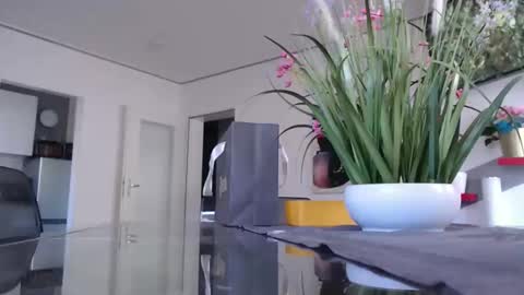 Snapshot of didiegal1 chatting on January 2026 10:42:01 AM squirtcock online show from January 2026 10:42:01 AM