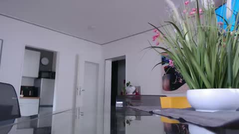 Snapshot of didiegal1 chatting on February 2026 09:13:02 AM squirtcock online show from February 2026 09:13:02 AM