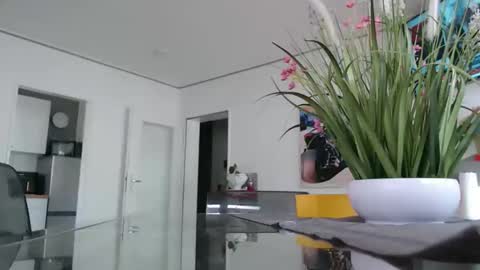 Snapshot of didiegal1 chatting on February 2026 09:38:01 AM squirtcock online show from February 2026 09:38:01 AM