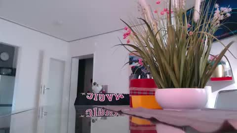 Snapshot of didiegal1 chatting on February 2026 11:53:01 AM squirtcock online show from February 2026 11:53:01 AM