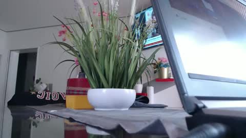 squirtcock online show from May 2026 11:15:01 AM