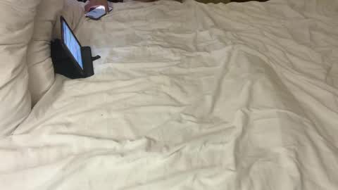 Dielitas online show from April 2026 01:56:01 PM