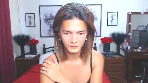 Dennesse online show from November 2025 01:17:02 AM