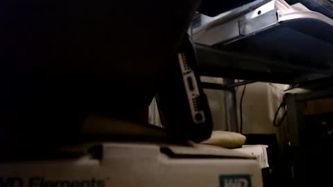 Snapshot of digbird1 chatting on January 2025 01:13:01 AM dbNorth online show from January 2025 01:13:01 AM