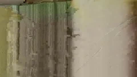 dildobandit online show from February 2026 12:53:01 AM