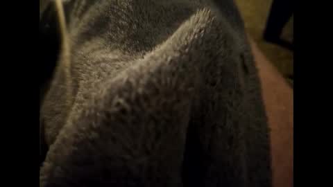 Dilf online show from January 2025 06:35:02 AM