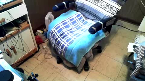 dillon1162 online show from August 2026 08:44:02 PM