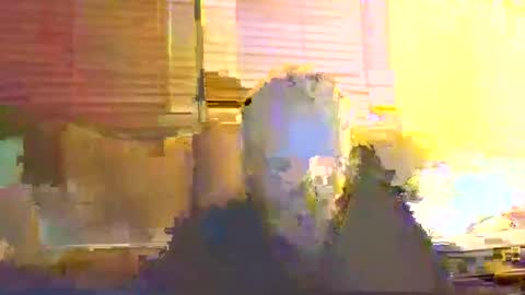 Snapshot of dingleberryjonesmagee chatting on October 2025 10:26:02 PM dingleberryjonesmagee online show from October 2025 10:26:02 PM