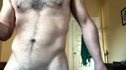 Dingler online show from November 2025 07:45:02 PM