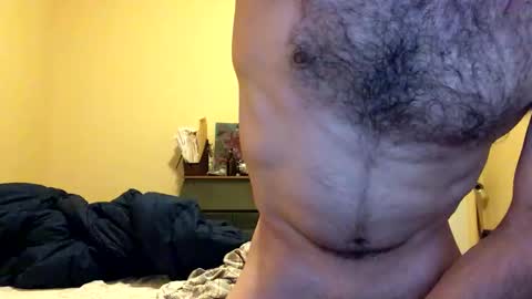 Dingler online show from March 2026 11:10:01 PM