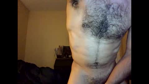 Dingler online show from April 2026 11:20:02 PM