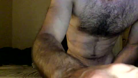 Dingler online show from June 2026 03:49:01 AM