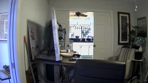 DirtkPitt Fun guy working online show from January 2025 07:39:02 PM