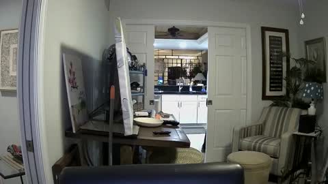 DirtkPitt Fun guy working online show from January 2025 02:35:02 AM