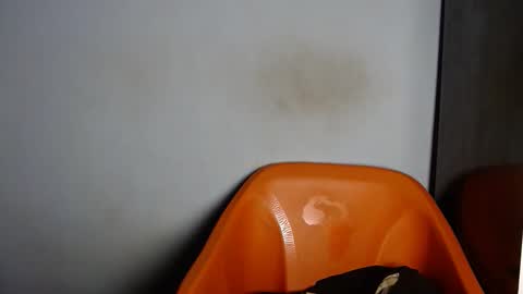 dirtydesirebabe online show from April 2026 02:20:02 AM