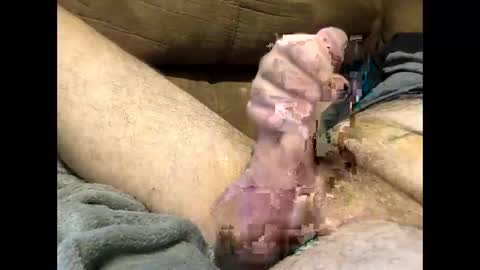 Snapshot of dirtykurty5000 chatting on September 2025 11:43:01 AM Dirtykurty5000 online show from September 2025 11:43:01 AM