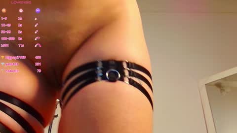 Snapshot of dirtylittleslutt_ chatting on January 2025 06:17:01 AM Nemesis online show from January 2025 06:17:01 AM