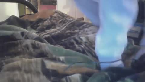 Dirtynerdy online show from January 2025 10:17:01 PM