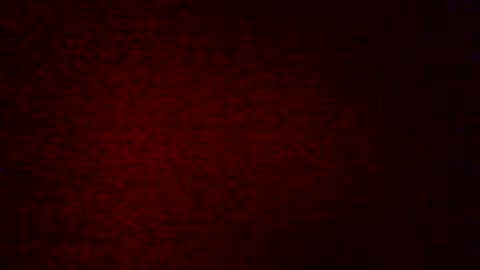 ELI online show from February 2025 02:19:01 AM