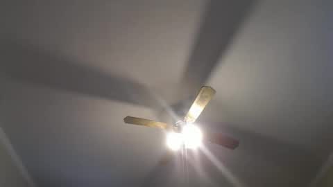 Snapshot of disr3sp3ctfully_dipp3d chatting on December 2024 08:37:02 PM Your Best Worst Nightmare online show from December 2024 08:37:02 PM