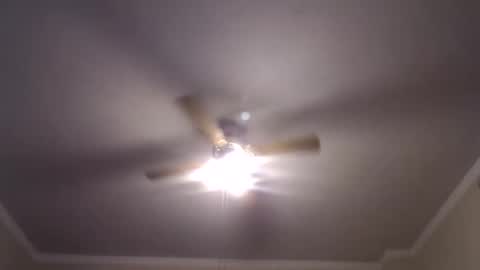 Snapshot of disr3sp3ctfully_dipp3d chatting on February 2025 07:26:01 AM Your Best Worst Nightmare online show from February 2025 07:26:01 AM