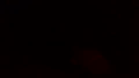 dixienormes online show from December 2024 11:14:01 AM