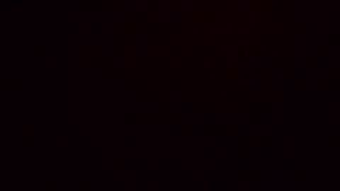 dixonbird41 online show from April 2026 11:59:01 AM