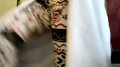 Snapshot of dizzinsweatyy chatting on March 2025 05:29:01 PM dizzinsweatyy online show from March 2025 05:29:01 PM