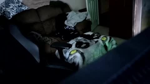 Hansel and Gretle online show from April 2026 11:51:02 PM