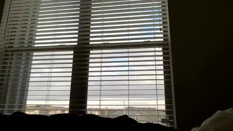 Snapshot of dj9469615 chatting on March 2026 02:20:01 PM dj9469615 online show from March 2026 02:20:01 PM