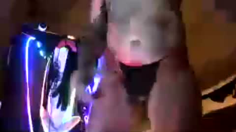 djceasar online show from July 2026 02:48:02 AM