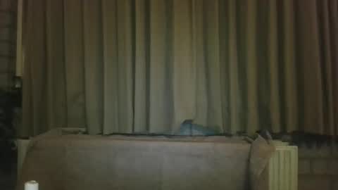 Snapshot of djensenhc chatting on January 2026 11:32:02 PM djensenhc online show from January 2026 11:32:02 PM