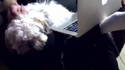 DKdad online show from December 2025 03:43:02 PM