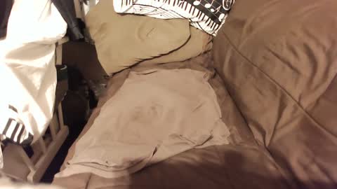 Snapshot of do4you2 chatting on January 2025 02:23:01 PM do4you2 online show from January 2025 02:23:01 PM