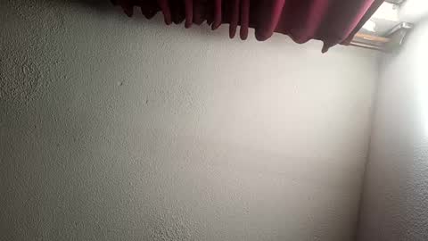 MrPepino online show from December 2024 02:16:02 PM