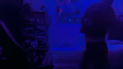 Dogboi online show from June 2026 04:34:02 AM
