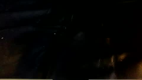 dogstarmanitee online show from December 2024 08:22:02 AM