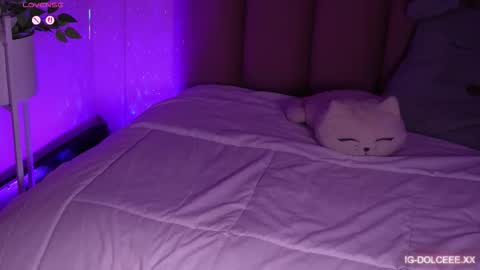 Snapshot of dolcexx chatting on January 2026 08:03:02 PM Dolcexx online show from January 2026 08:03:02 PM