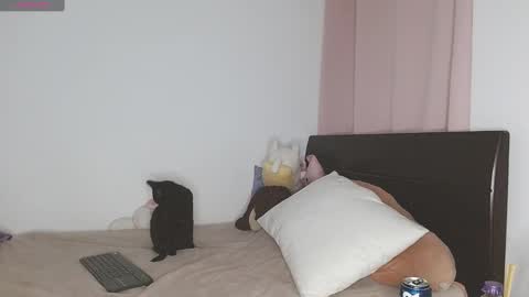 Auro and Santiago online show from January 2025 03:02:01 AM