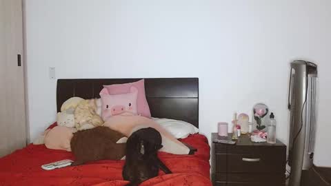 Auro and Santiago online show from February 2025 03:55:02 AM