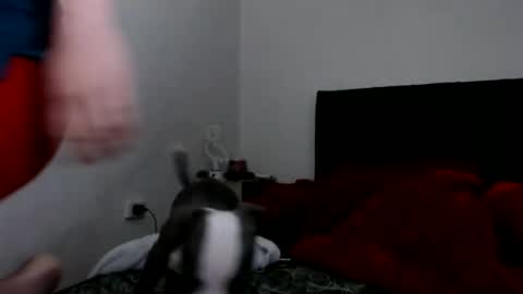 Snapshot of doll_sary chatting on February 2025 09:03:01 AM Catherine XXX online show from February 2025 09:03:01 AM