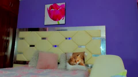 dollcute_latin online show from April 2026 09:16:01 AM