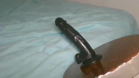 Alzest online show from February 2026 09:46:01 PM