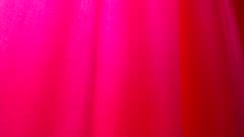 Snapshot of dommetomorrow chatting on February 2025 05:36:01 PM DommeTomorrow online show from February 2025 05:36:01 PM