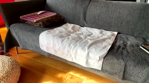 Alfredo online show from December 2025 10:13:01 AM