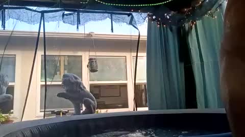 doobie1717 online show from September 2025 12:43:01 PM