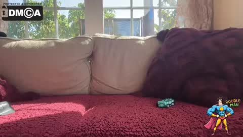 Snapshot of doodleman2077 chatting on October 2025 09:56:01 PM doodleman2077 online show from October 2025 09:56:01 PM